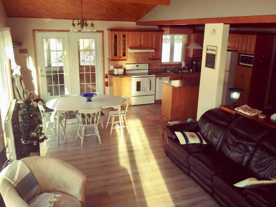 Le Chalet Bleu, Aux Pieds Des Monts-Valin Saint-David-de-Falardeau Екстериор снимка