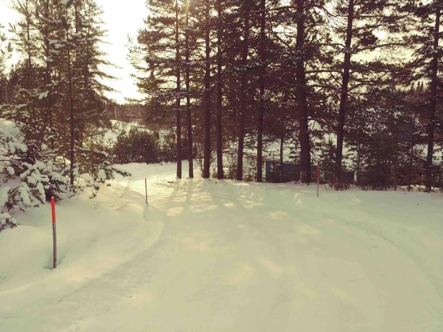 Le Chalet Bleu, Aux Pieds Des Monts-Valin Saint-David-de-Falardeau Екстериор снимка