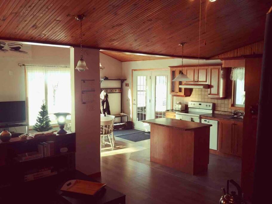 Le Chalet Bleu, Aux Pieds Des Monts-Valin Saint-David-de-Falardeau Екстериор снимка
